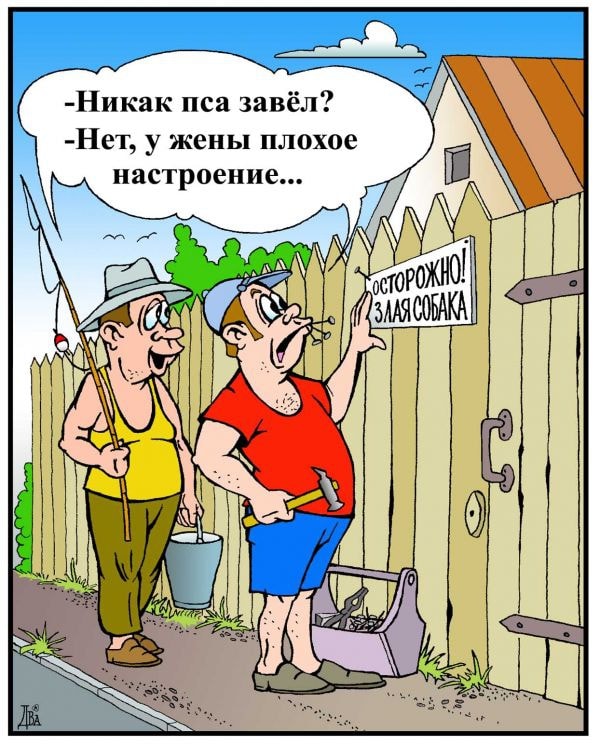 - Сволочь, подонок, кобель! – кричала женщина, нервно забрасывая вещи в пухлые чемоданы... когда, только, прыгает, книжку, дверью, хлопнула, жизни, батюшка, маечек, рассказала, Лидка, давно, бассейна, калькулятор, записную, покупок, разбегается, женщина, нужно, узнал