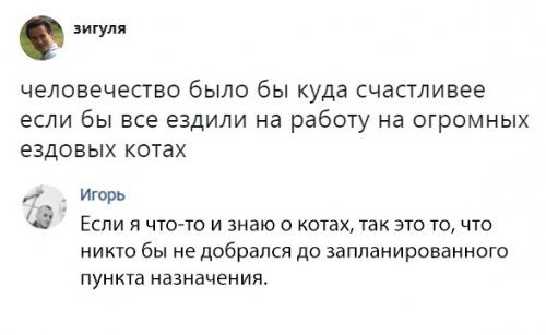 Немного смешных комментариев из соцсетей Немного смешных комментариев из соцсетей