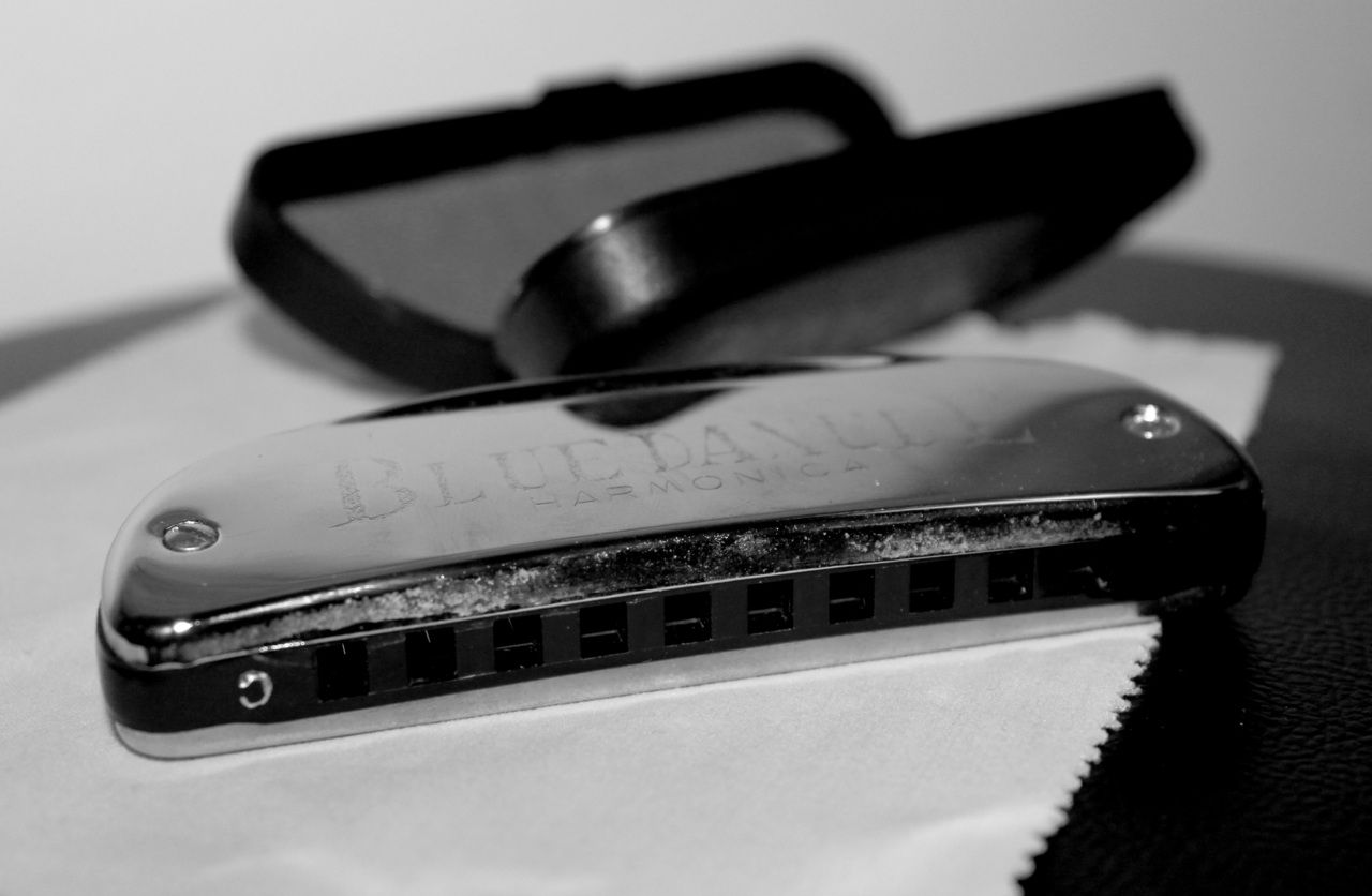 Жителя Гонконга арестовали за игру на губной гармошке во время траура по Елизавете II