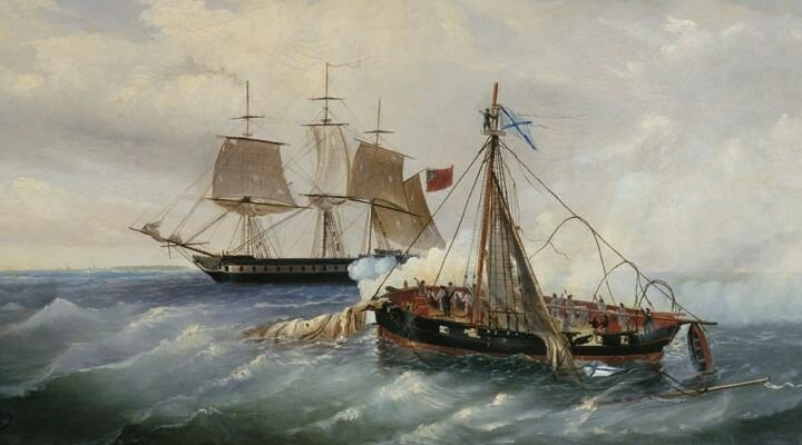 Один в море воин