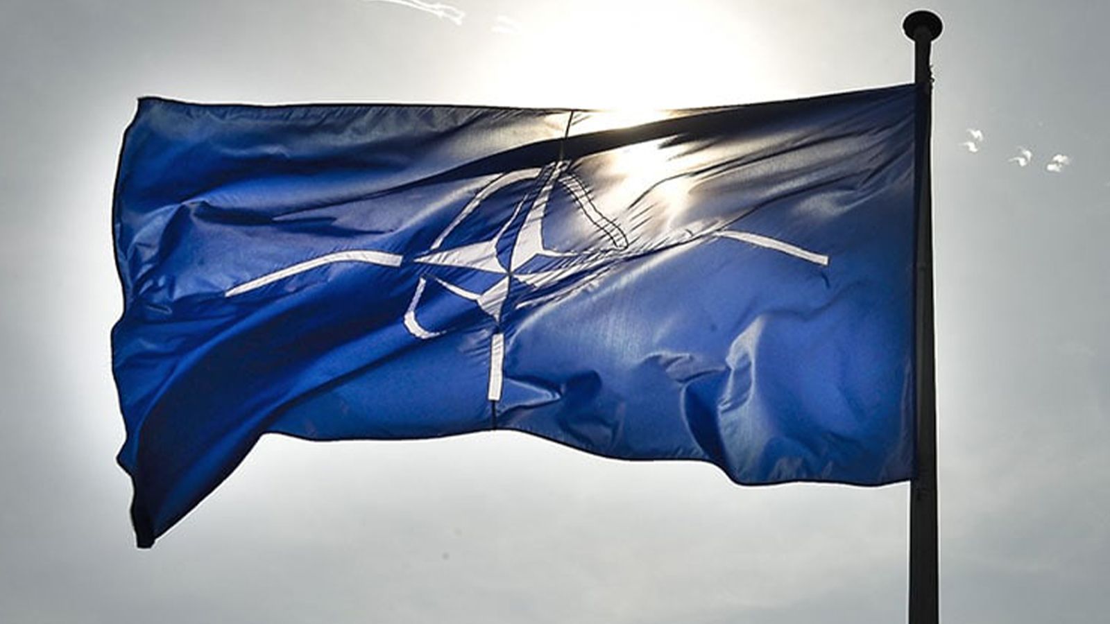 Евросоюз и НАТО заключат совместную декларацию о сотрудничестве 10 января