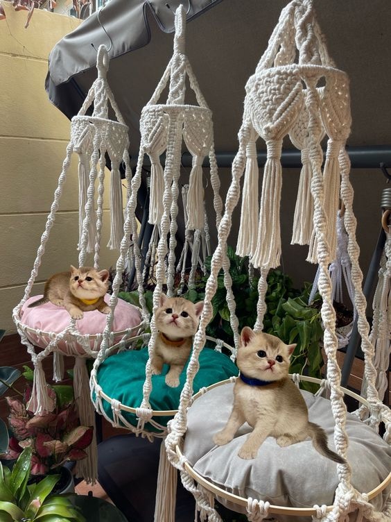 Плетеные гамаки для кошек