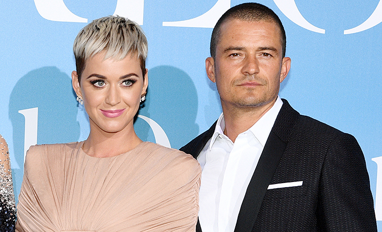 Объявления по всему району и щедрое вознаграждение: Кэти Перри и Орландо Блум просят помочь найти их пропавшую собаку