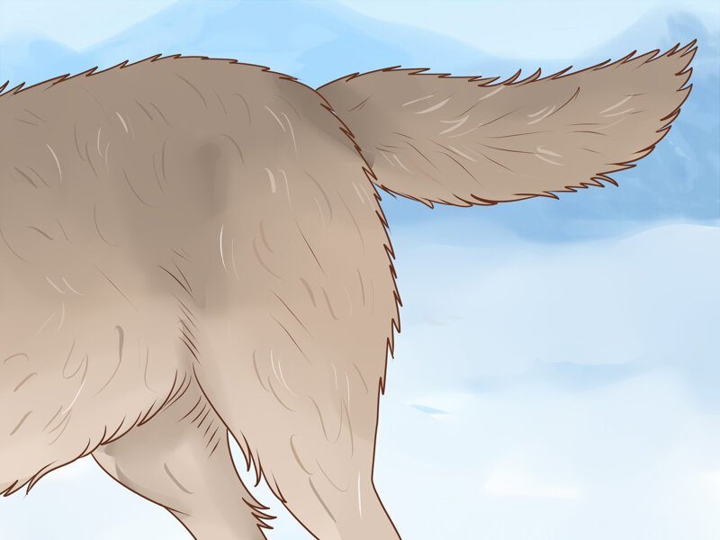 Топ 5 забытых профессий Руси: зачем наши предки плевались репой и вопили на свадьбах Топ 5 забытых профессий Руси: зачем наши предки плевались репой и вопили на свадьбах