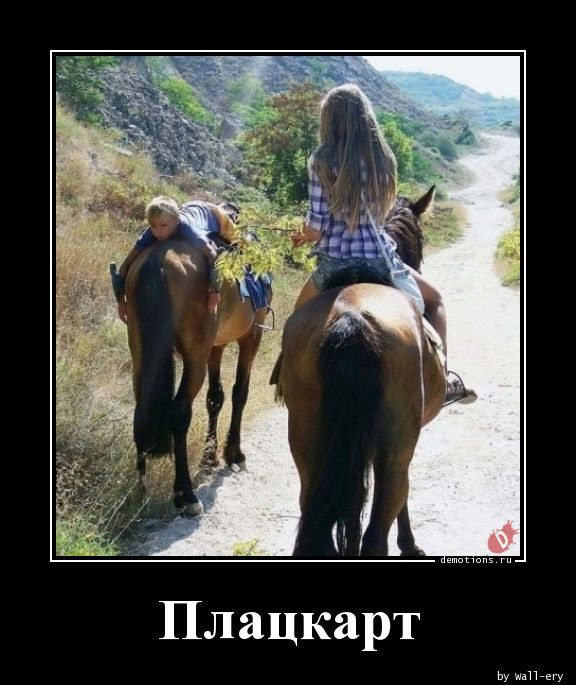 Демотиваторы – приколы: «Контенна» 