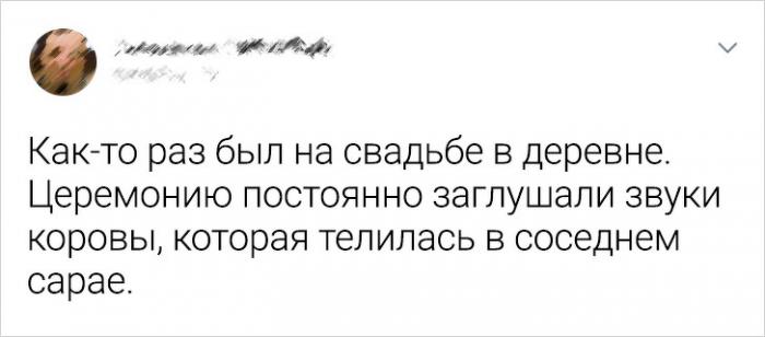 Свадьбы, где все идет не по утвержденному плану или в жизни бывает все Свадьбы, где все идет не по утвержденному плану или в жизни бывает все картинки с надписями,красивые фотографии,фото приколы,шикарные фотографии,юмор