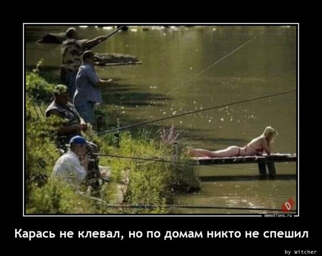 Демотиваторы для всех и каждого 