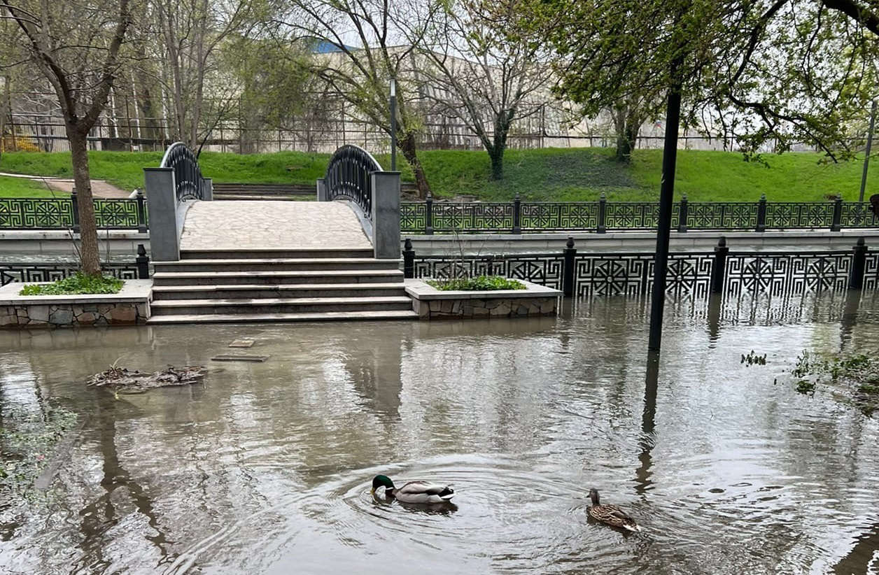 Симферополец показал, как выглядит до сих пор затопленный Гагаринский парк Общество