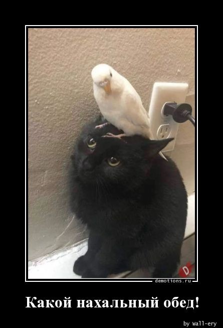 Новая коллекция демотивирующих картинок на любой вкус для всех читателей нашего сайта 
