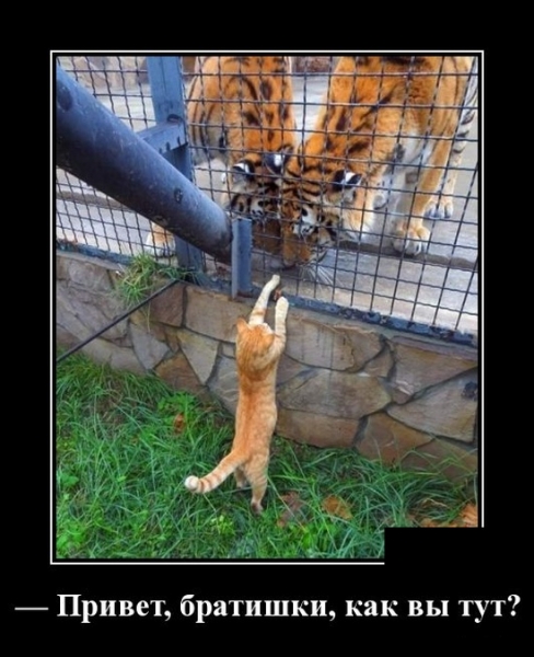 ������� ����� � ����