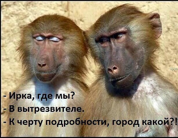 ВСЁ В ЭТОМ МИРЕ ДЕРЖИТСЯ НА СМЕХЕ! ВСЁ В ЭТОМ МИРЕ ДЕРЖИТСЯ НА СМЕХЕ! анекдоты,демотиваторы,приколы,юмор