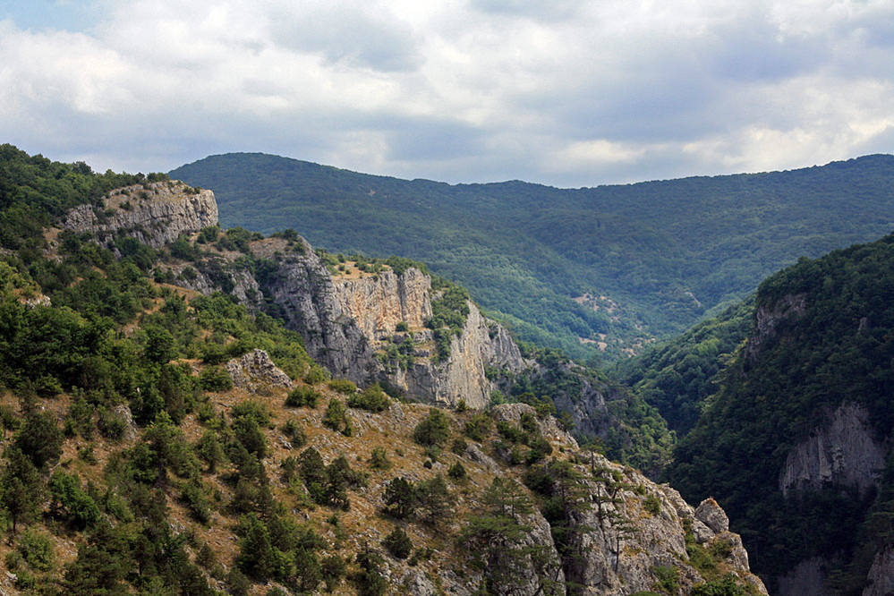 Бойка Бойка путешествия