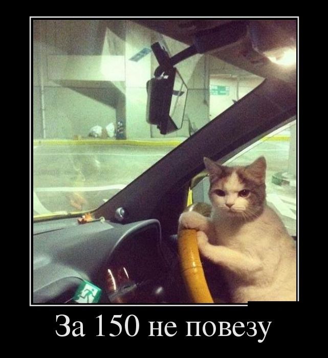 1483868900_15