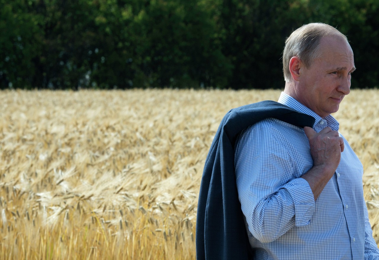 российские аграрии попали в сильную зависимость от иностранных семян