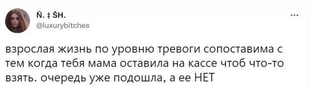 Приколы про взрослую жизнь