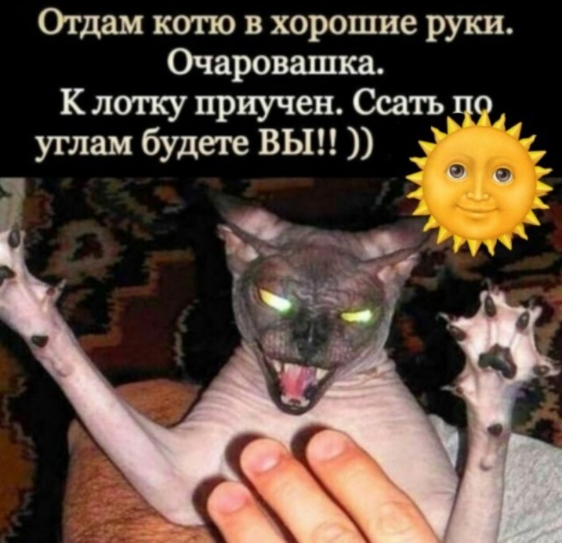 Челябинские пенсионеры настолько суровы, что силой выманили у мошенников два миллиона рублей Челябинские пенсионеры настолько суровы, что силой выманили у мошенников два миллиона рублей