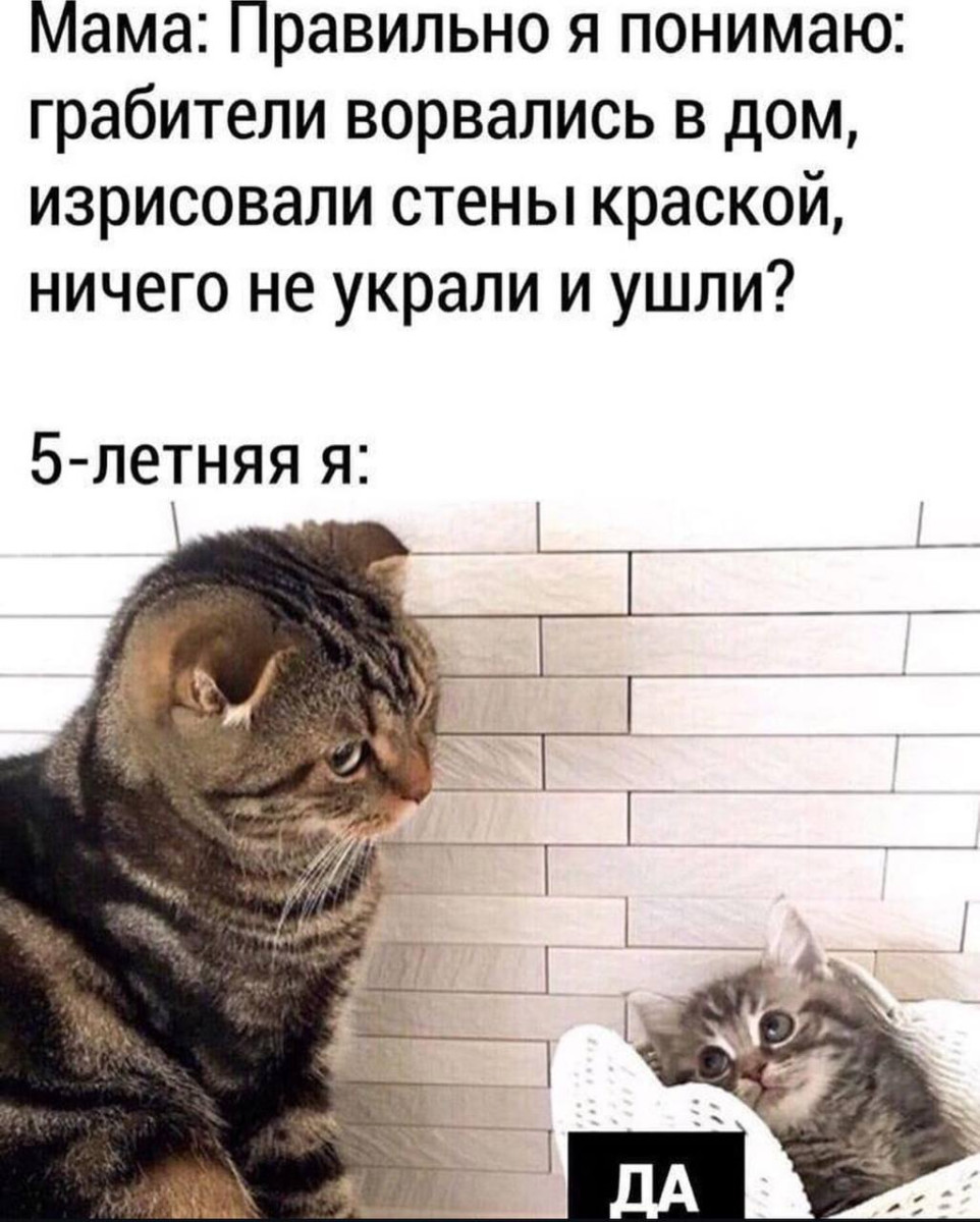 Юмор за день и раздвоение личности 