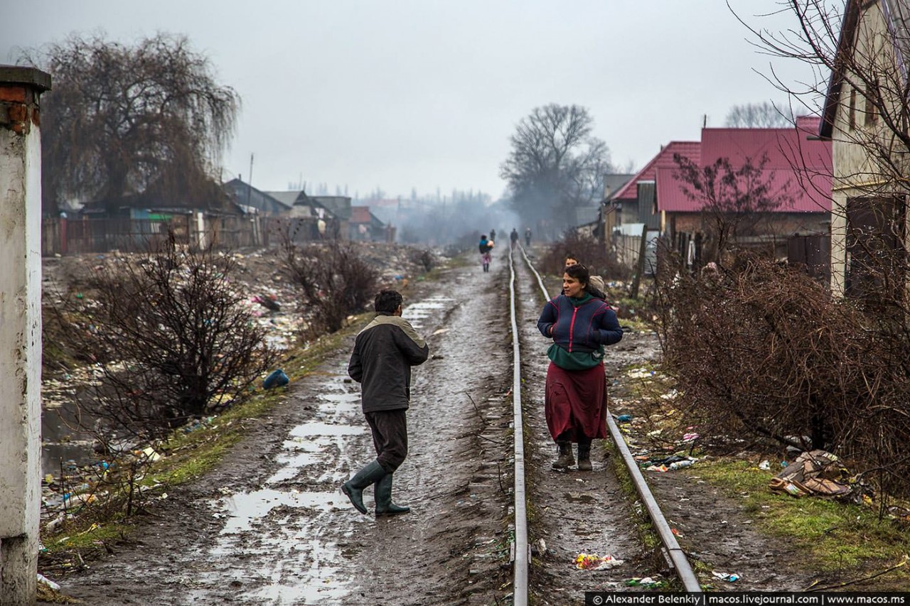 Село Лоевцы На Украине Фото