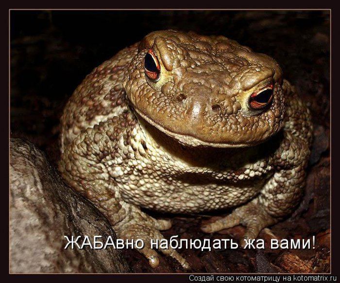Мысли вслух :)