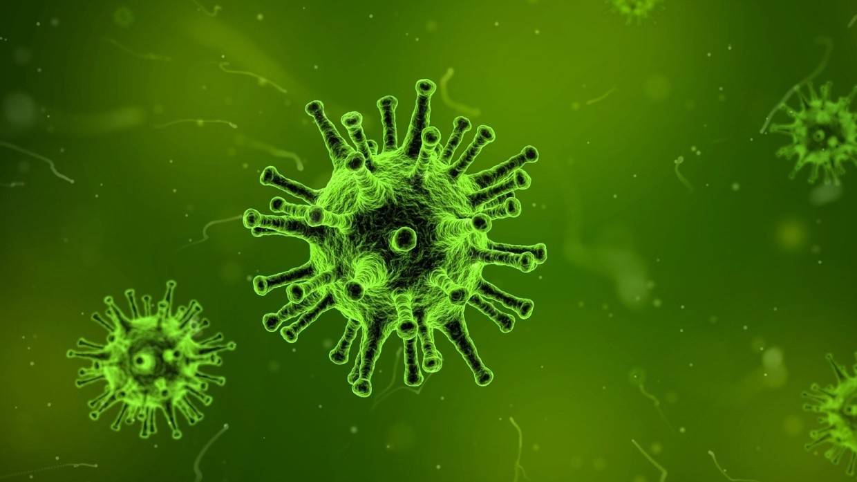 Певица из Чехии умерла после намеренного заражения коронавирусом