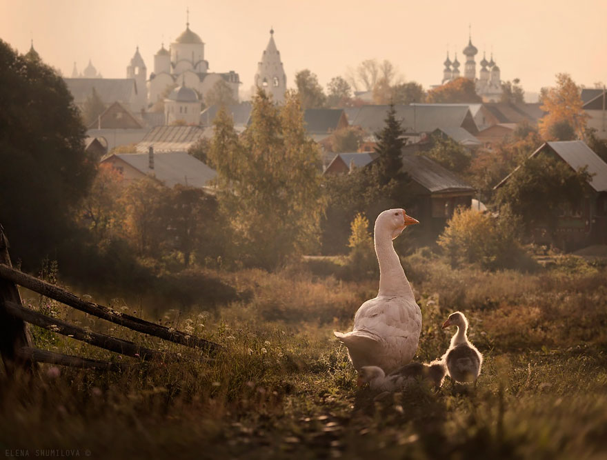 18. Суздаль, Россия.