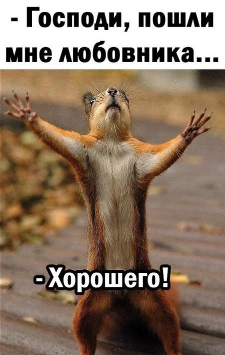 Пёстрая коллекция юмора Пёстрая коллекция юмора