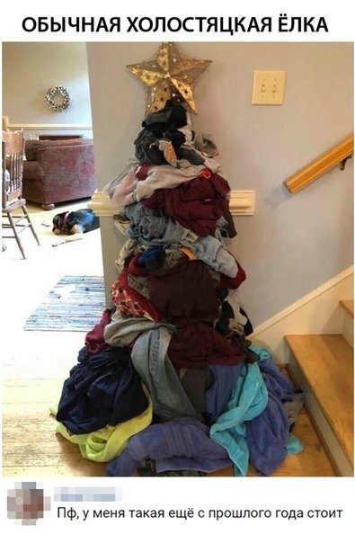 Немного смешных комментариев из соцсетей Немного смешных комментариев из соцсетей