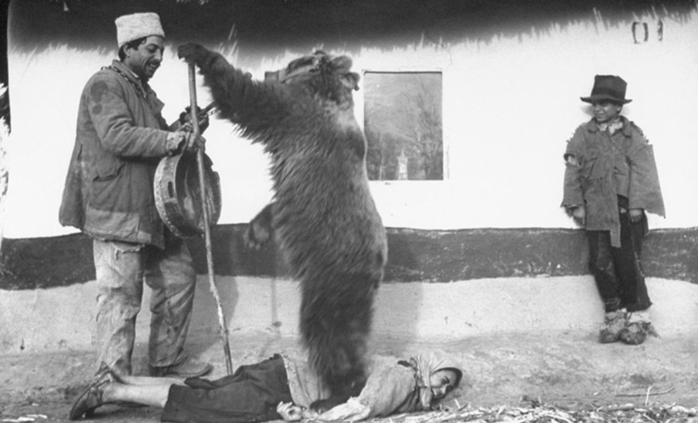 Румынский цыган лечит медведем спину женщины: фото из 1946 года