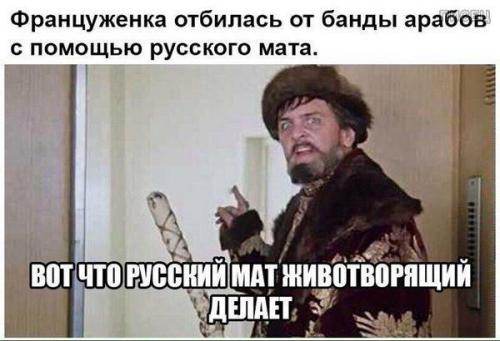 Убойные приколы на все ближайшие дни