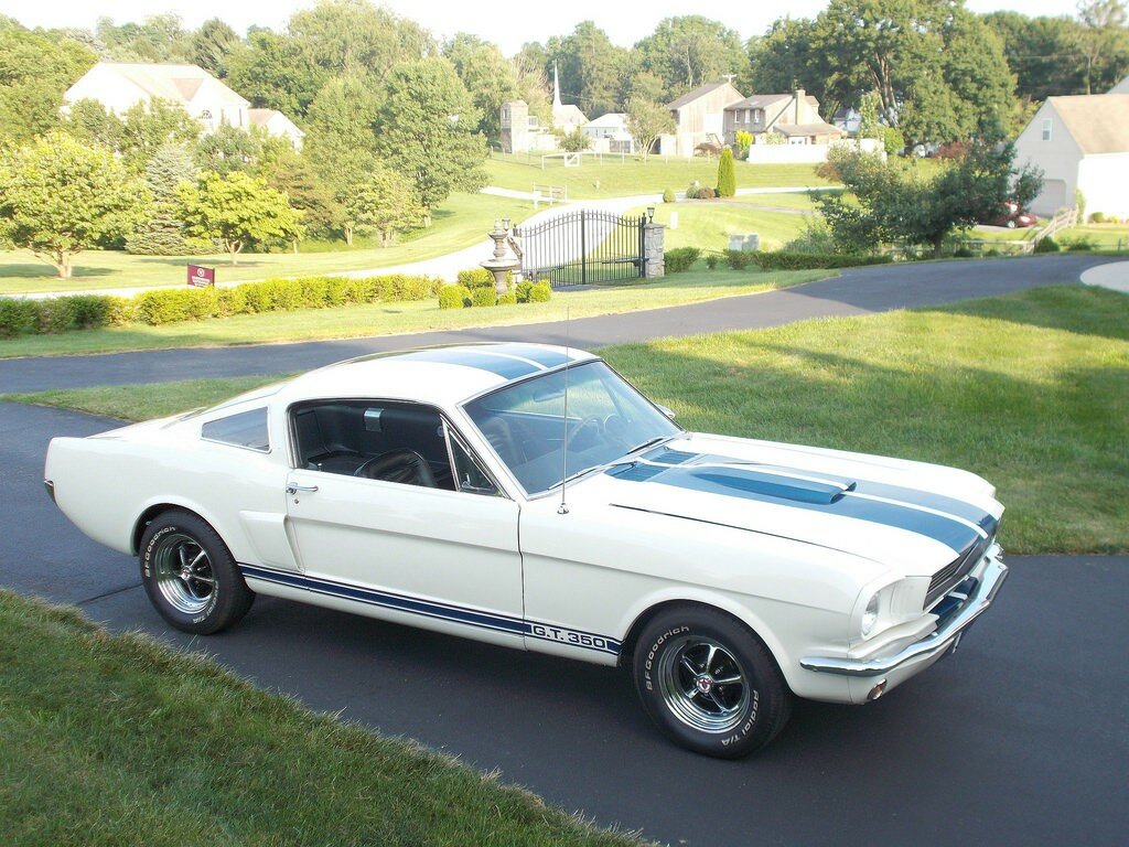 Mustang Shelby gt 1960