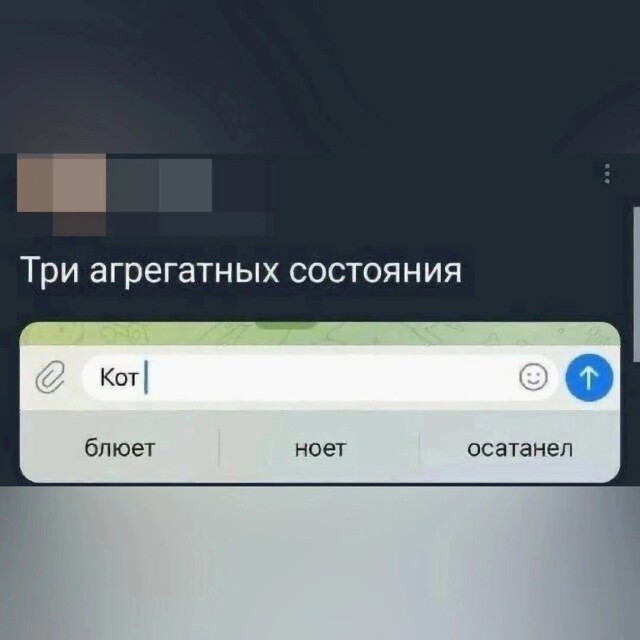 Прикольные фотомемы 