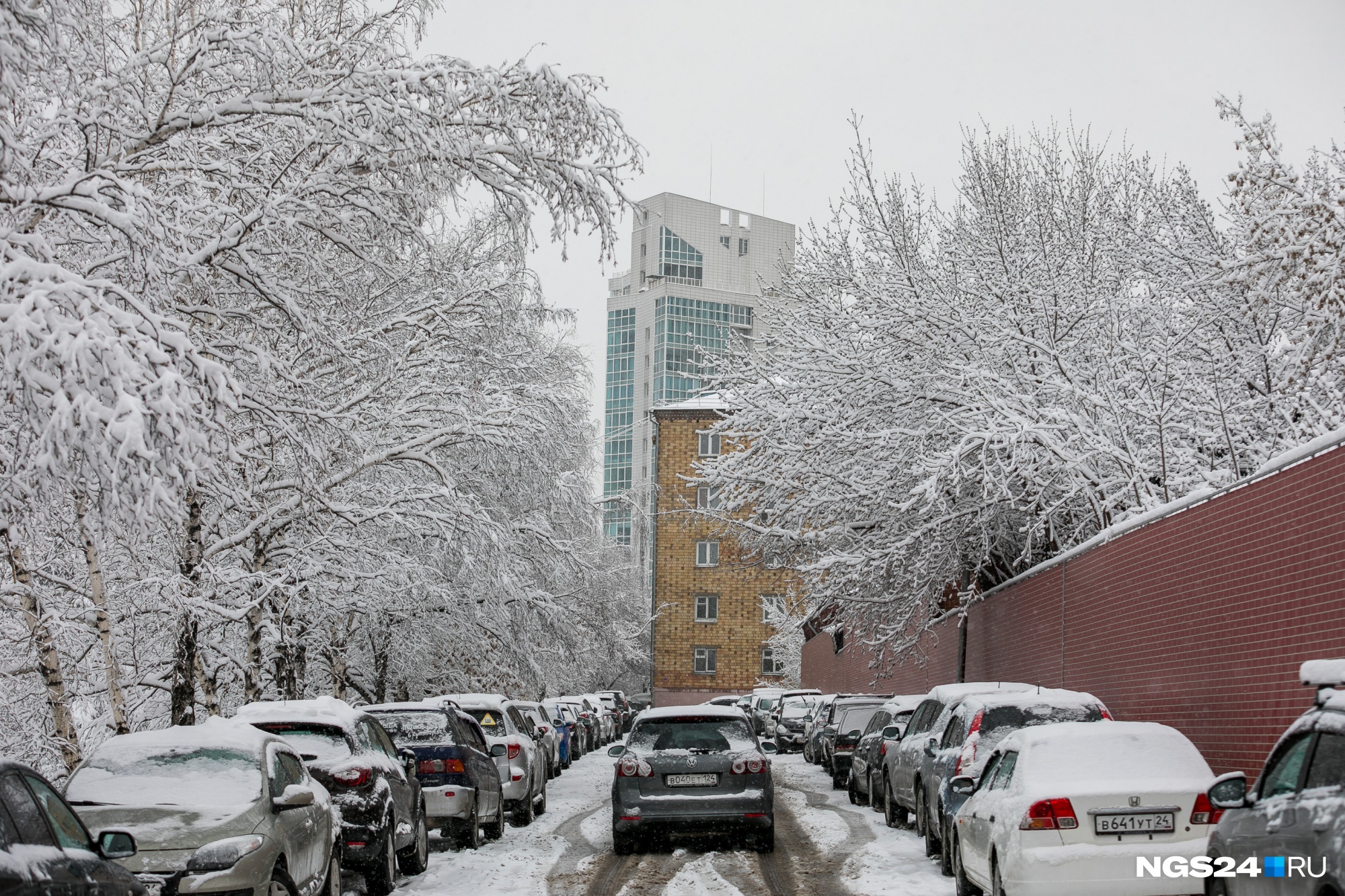 Какой сегодня снегопад. Улицы Москвы после снегопада. Снегопад в ВДНХ. Москва много снега улицы. День снегопада 5 февраля.