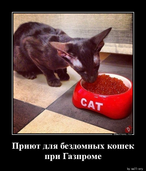 Демотиваторов пост: «Отобью „Теслу“» Демотиваторов пост: «Отобью „Теслу“»