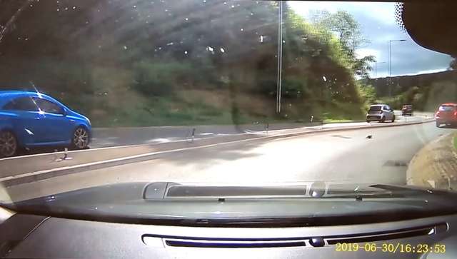 котенок на дороге