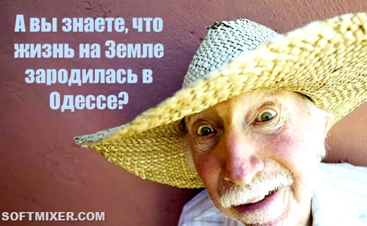 Одесские шуточки о счастливой жизни анекдоты,Одесса,юмор и курьезы