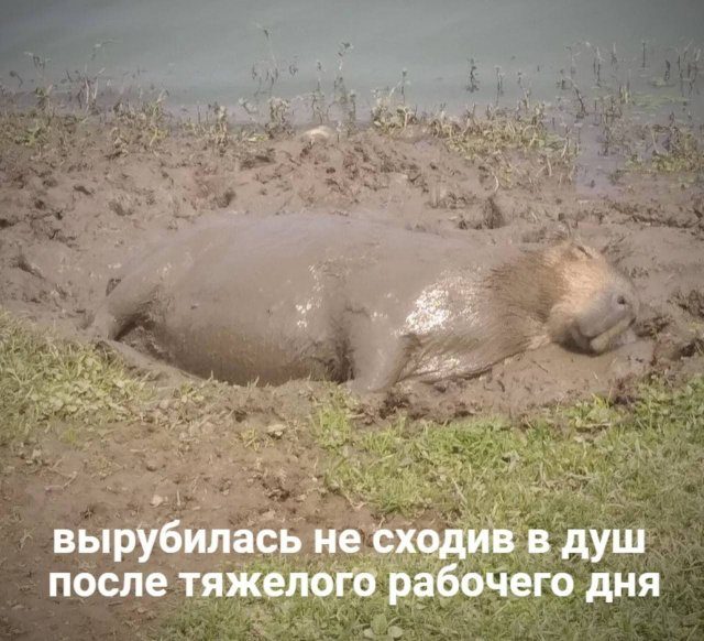 Рабочие приколы. Наслаждайтесь! Рабочие приколы. Наслаждайтесь! позитив,смешные картинки,юмор