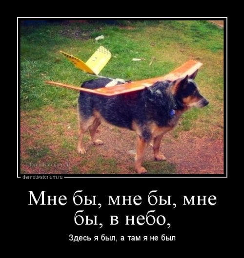 Очередная коллекция демотиваторов-приколов Очередная коллекция демотиваторов-приколов