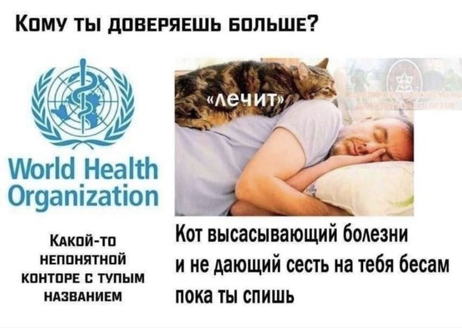 Отдых — это когда устаёшь в красивом новом месте 