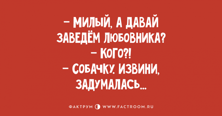 Просто превосходные анекдоты, которые вы захотите рассказать друзьям