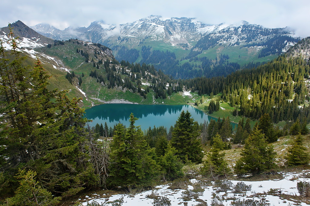 луч солнца золотого