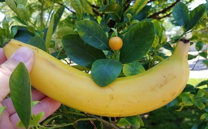 Фотография: 33 любопытных и редких находки, которыми люди поделились в сети №18 - BigPicture.ru