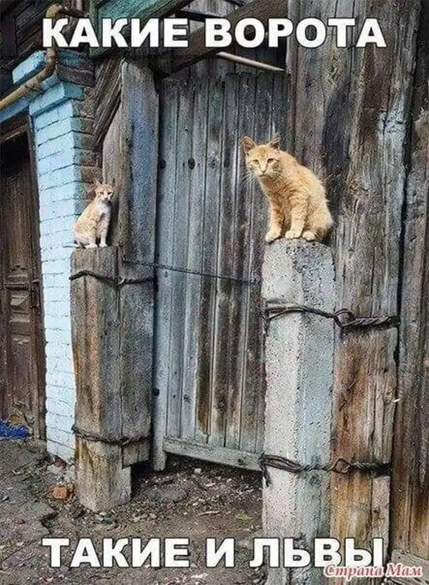 На встречу выпускников пришел только отличник Вася, все остальные приехали, приплыли, прилетели... г,Москва [1405113]