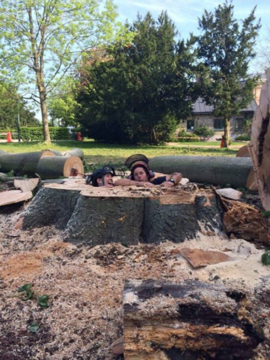 Фотоподборка понедельника  