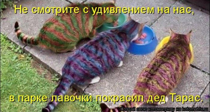 Мысли вслух :)