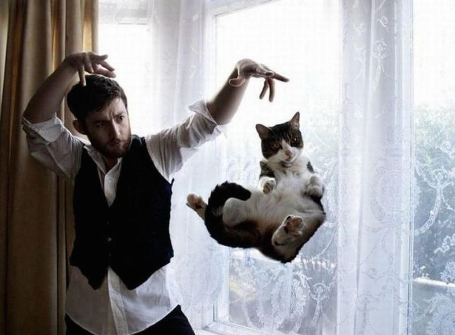 Фотография: 100 лучших фотографий кошек всех времен и народов №2 - BigPicture.ru