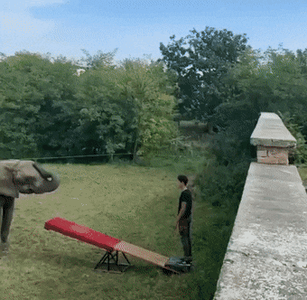 Интересные гифки 17 января 2022 года