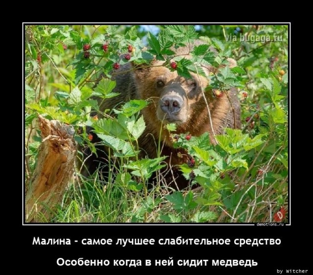 Новая подборка прикольных демотиваторов для ценителей чёрненького юмора! 