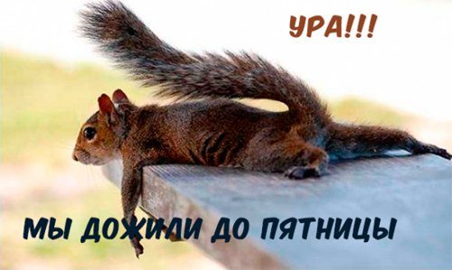 Настоящая атмосфера позитива Настоящая атмосфера позитива