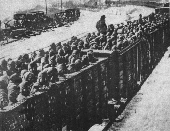 Трагедия советских военнопленных история