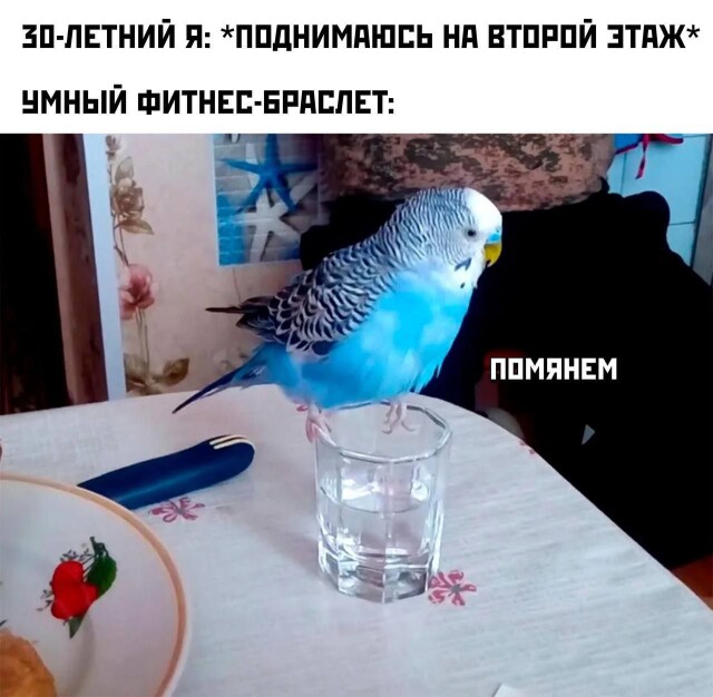 Прикольные фотомемы 